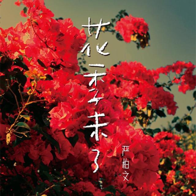 花季未了封面