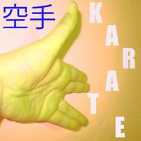 Musique pour Karaté Vol. 6