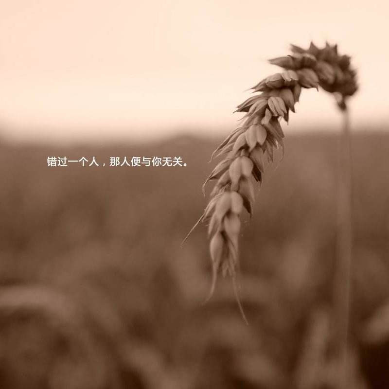 男二号封面