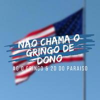 NÃO CHAMA O GRINGO DE DONO (feat. DJ 2D DO PARAISO)