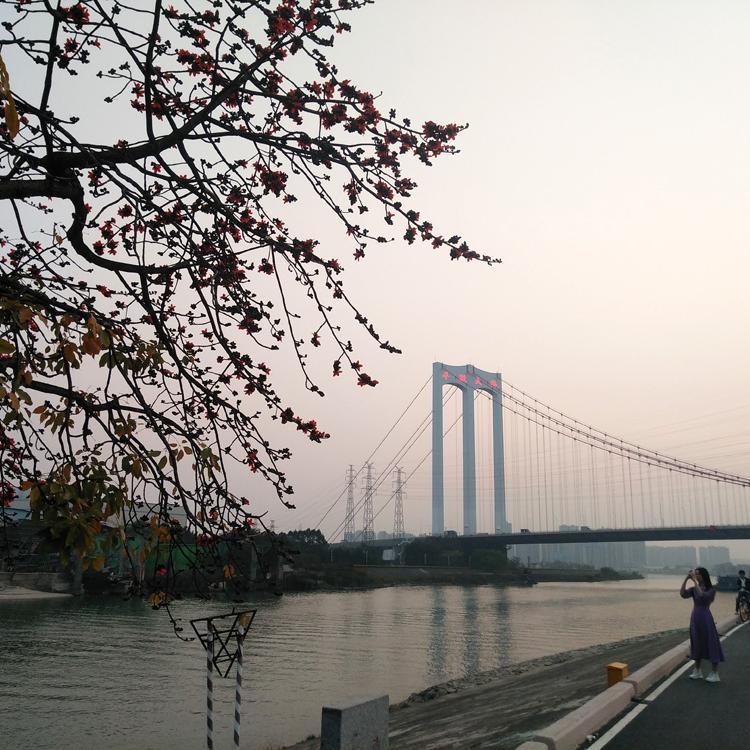 面朝大海，春暖花开 伴奏封面