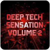 Deep Tech Sensation, Vol.2