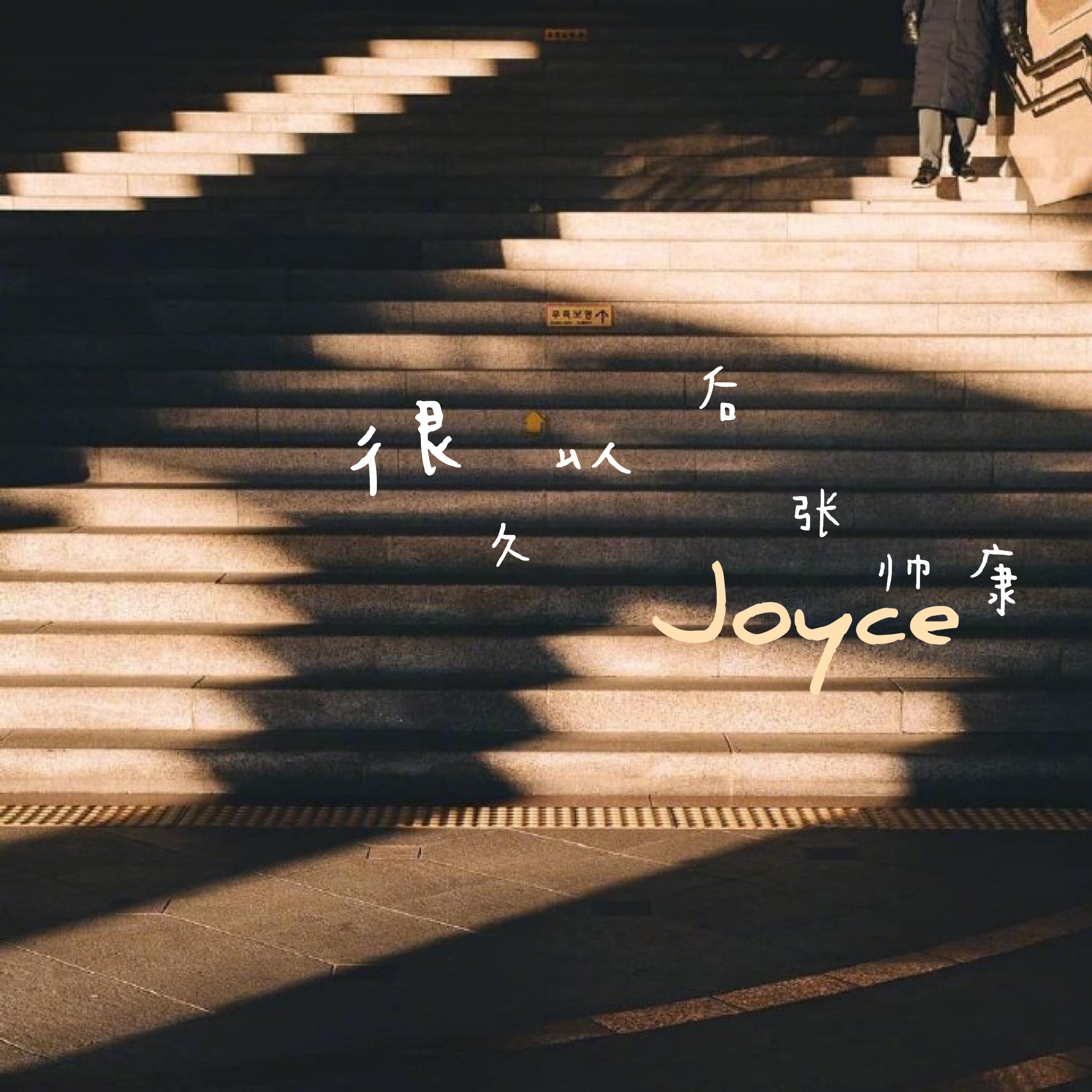 很久以后 - 张帅康封面