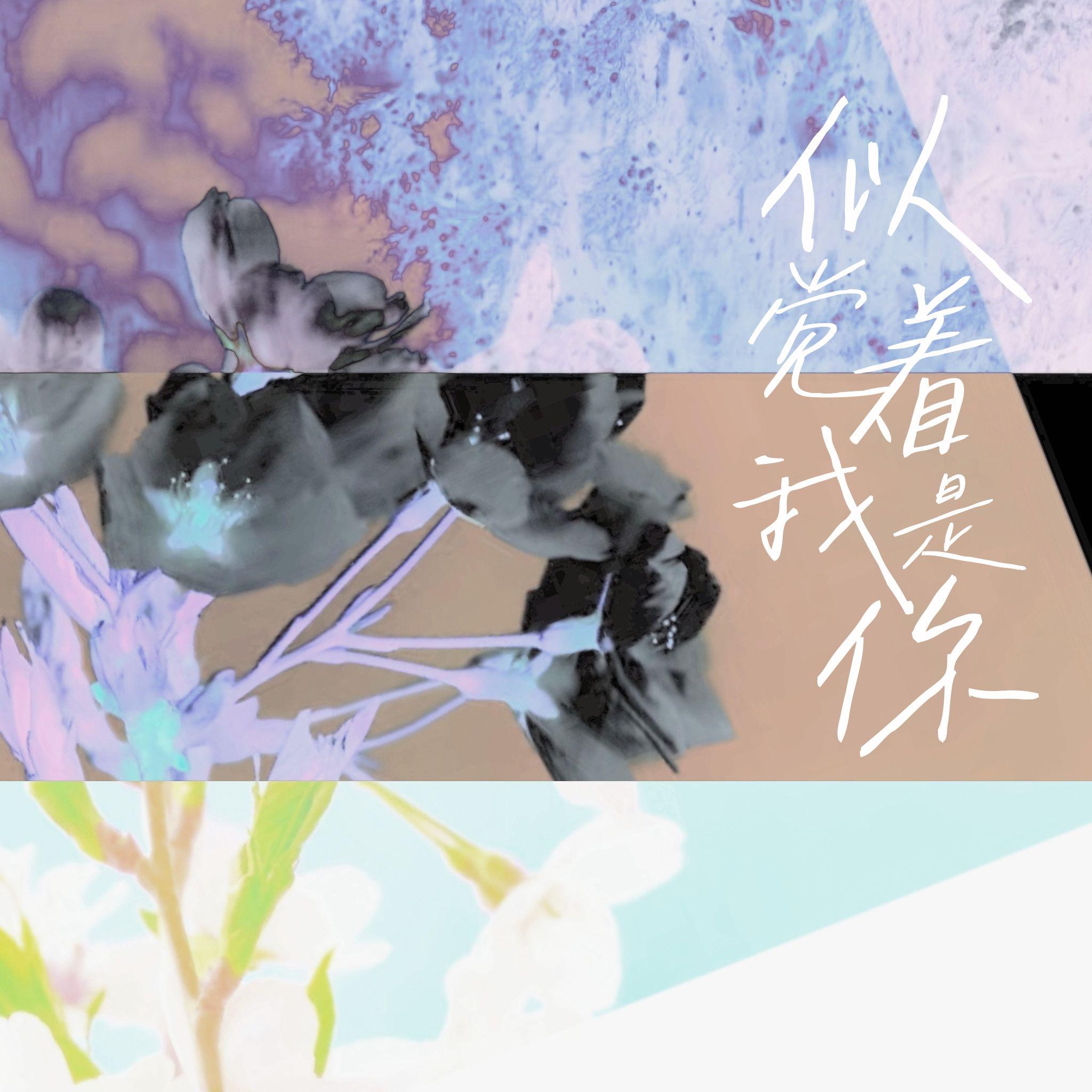 似觉着我是你_果子狸_似觉着我是你 | 在线播放_似觉着我是你歌词_似觉着我是你下载 | 网易云音乐