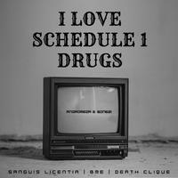 I LOVE SCHEDULE 1 DRUGS (feat. BØNEZ!)