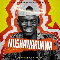 Mushawarukwa