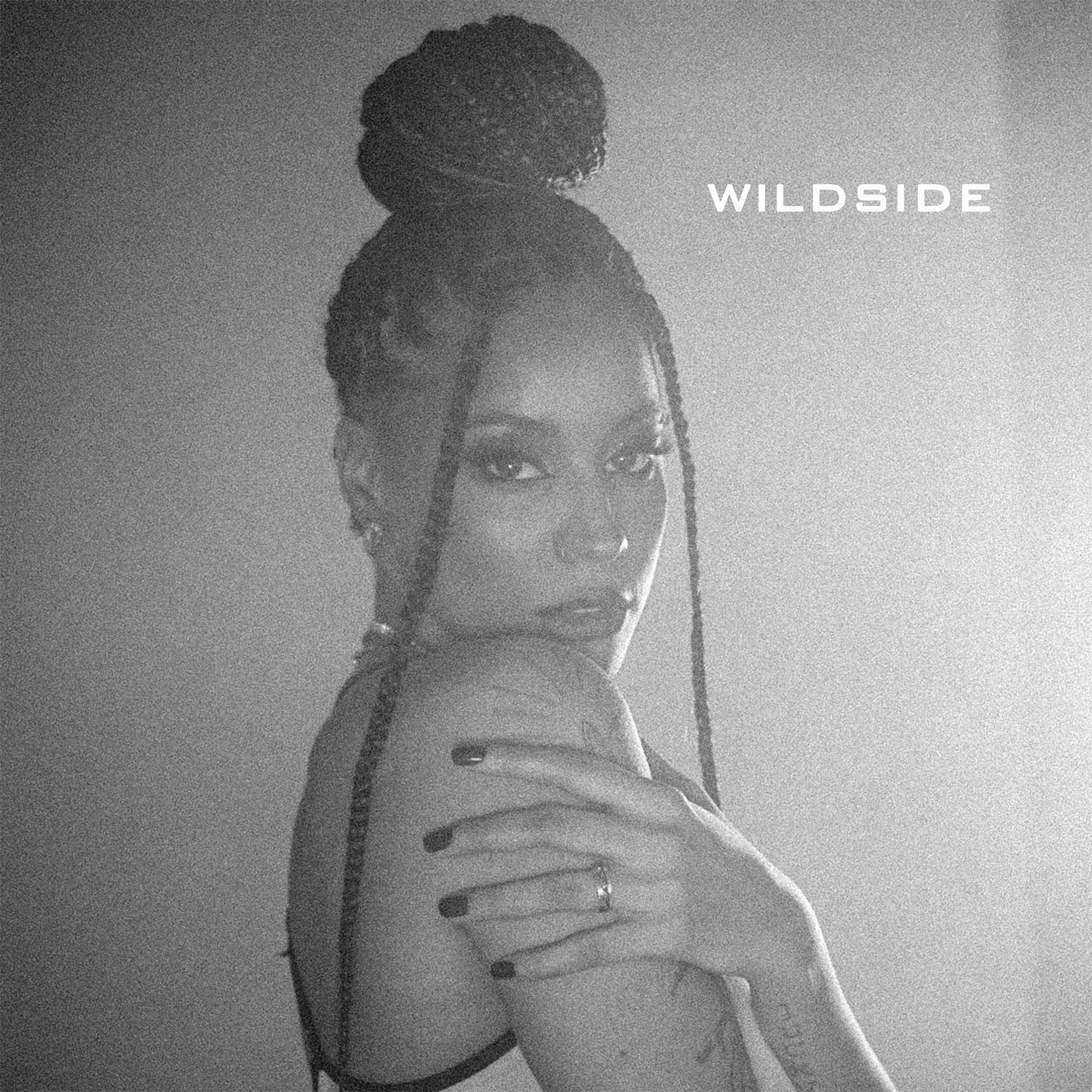 Wildside (feat. Jon Bonus & Wicjones)