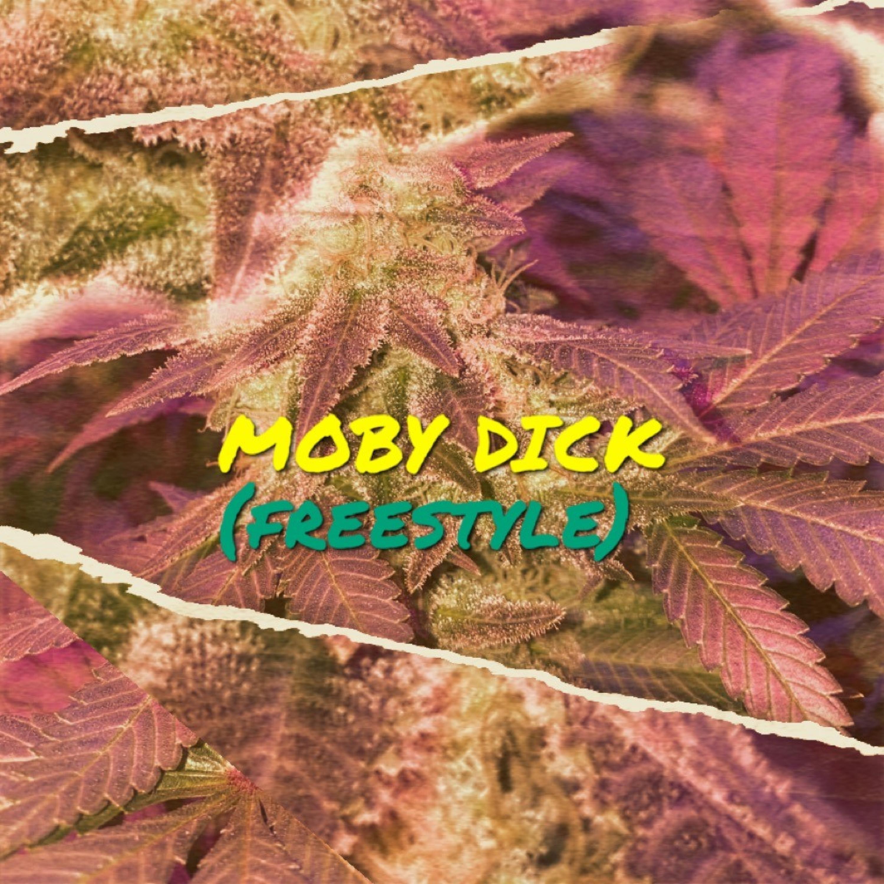 MOBYDICK (freestyle)