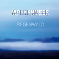 Regenwald