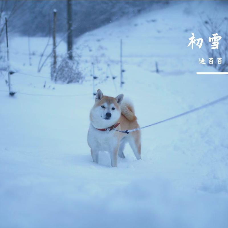 迟来的爱(新版) - ZENJI 成正封面