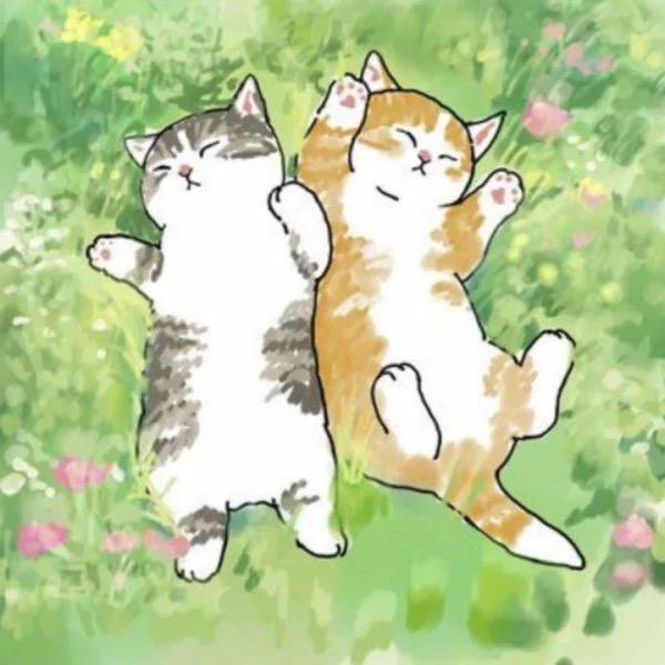 Pure｜纯音乐 治愈 放松 下午茶