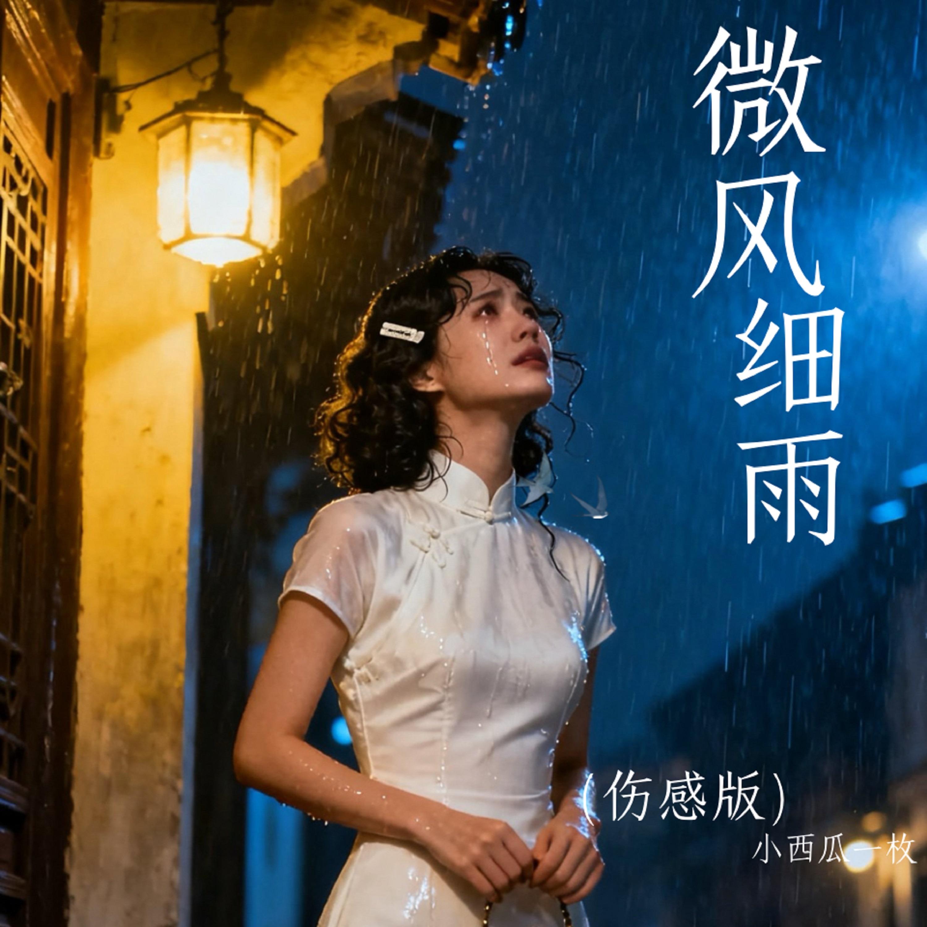 微风细雨 (伤感版)封面