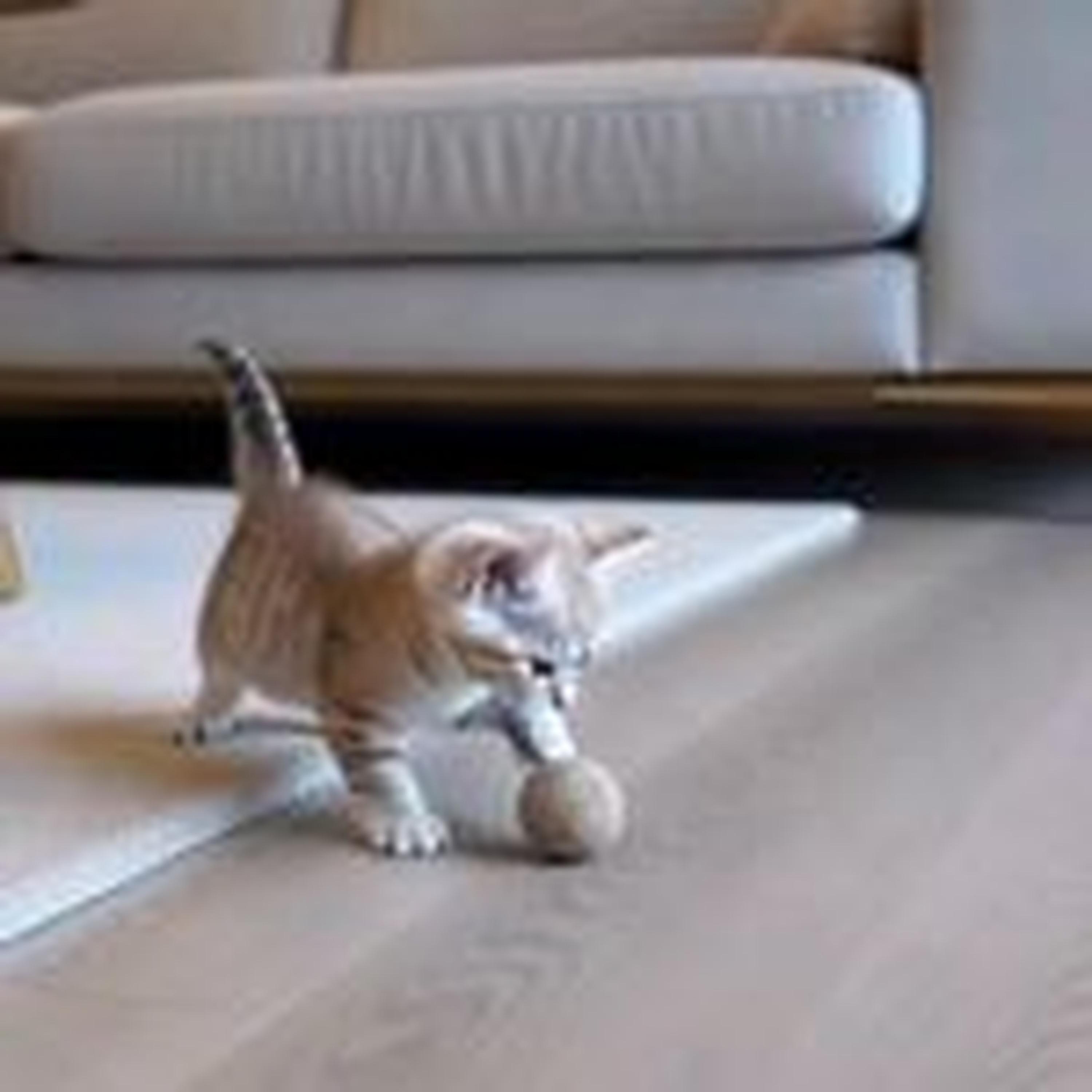 Just Like Me (slowed)