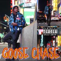 Goose Chase