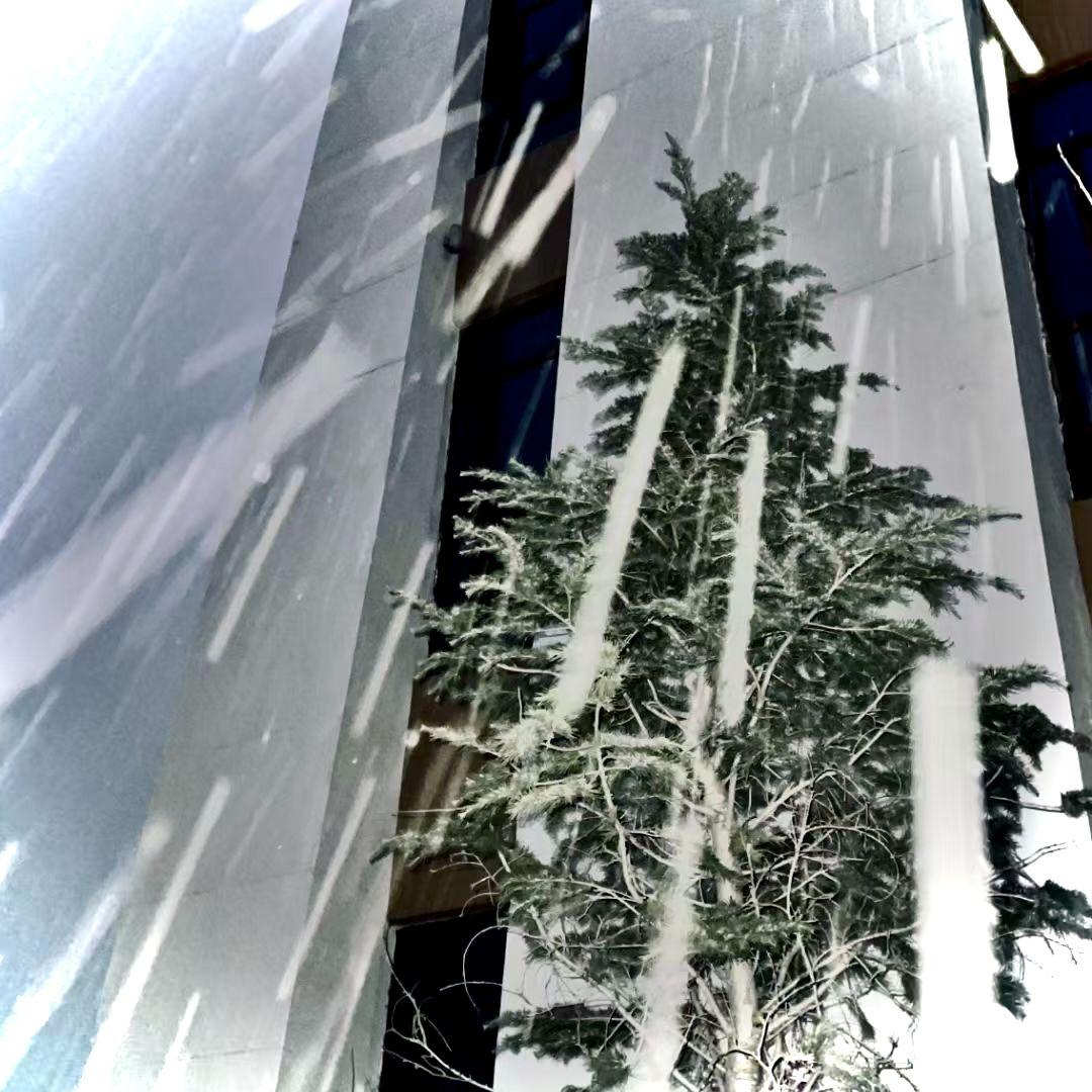 香格里拉下雪了吗 - FlyThugFlow封面