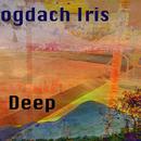 Logdach Iris