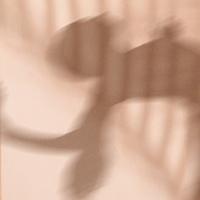 Rodrigo Castillo Filomarino