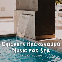 Nature Sounds: Crickets Background Music for Spa