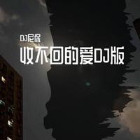 收不回的爱DJ版
