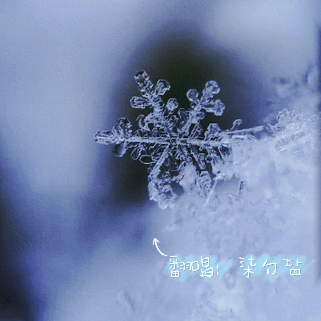 雪花落下（cover周深）封面
