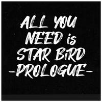 ALL YOU NEED is STAR BiRD -PROLOGUE-