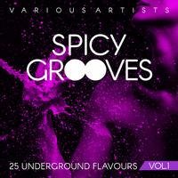 Spicy Grooves (25 Underground Flavours), Vol. 1