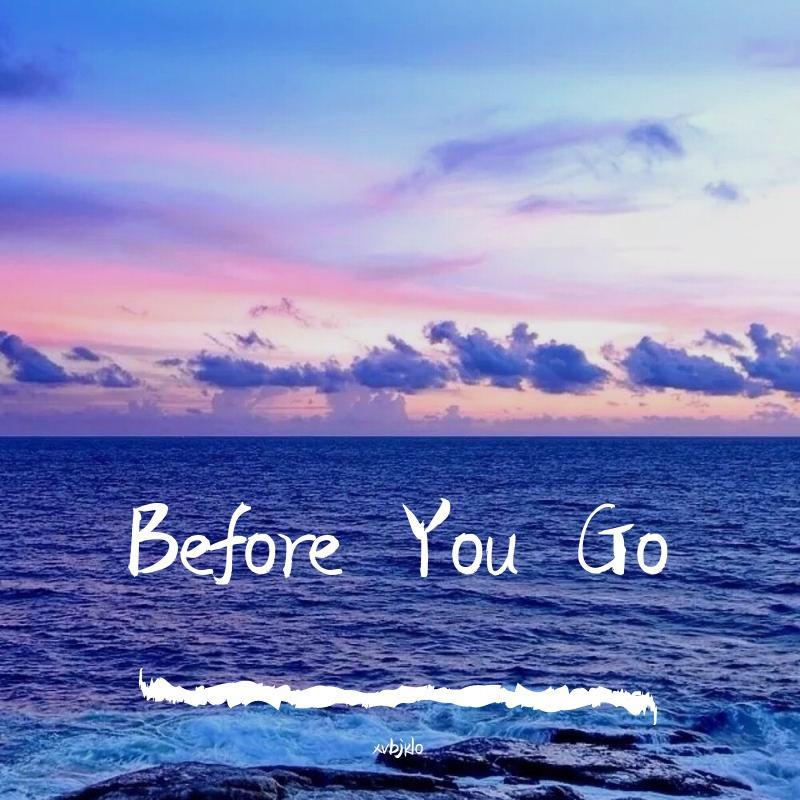 Before You Go