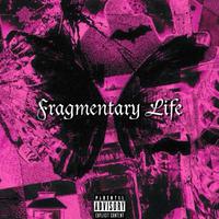 碎片生活 Fragmentary Life