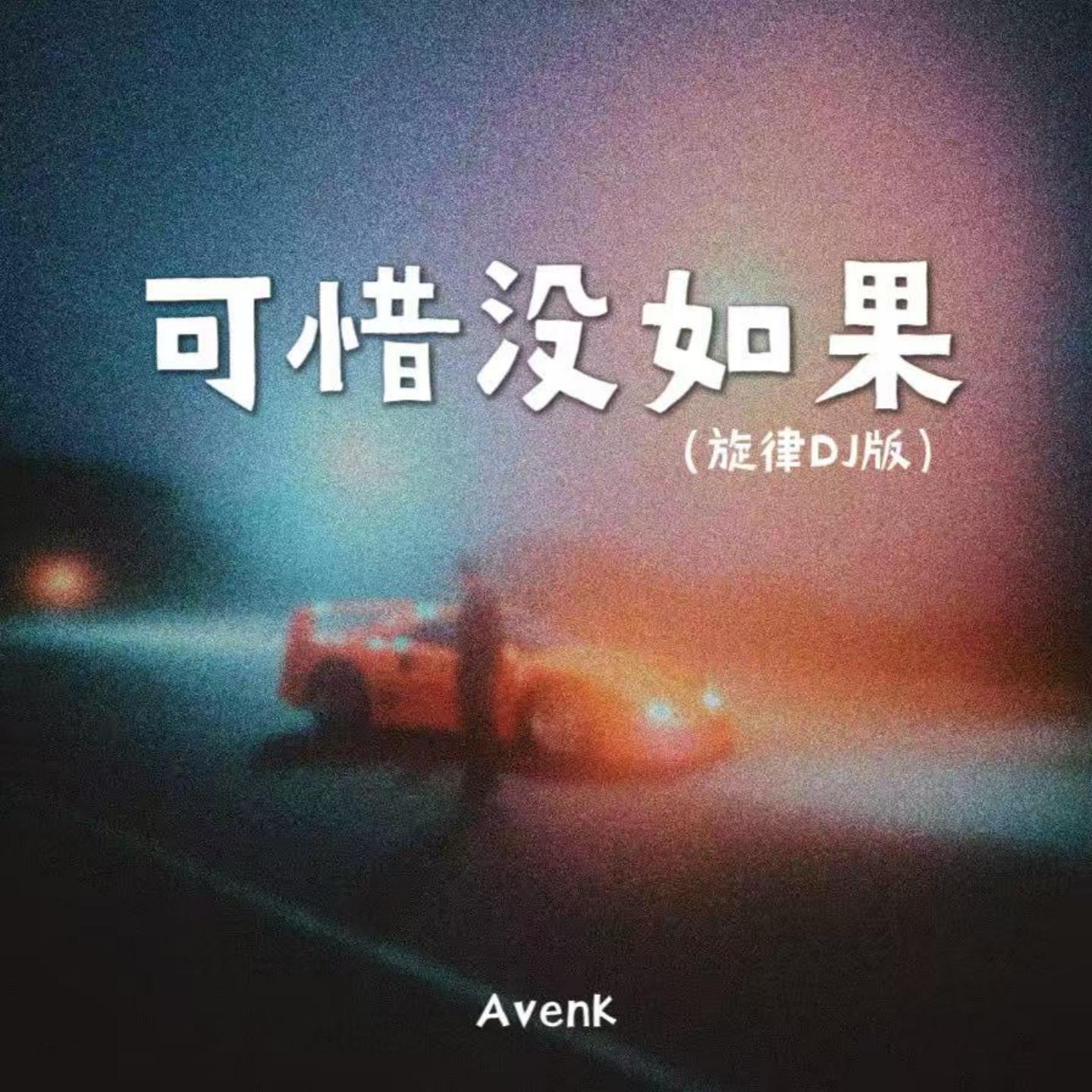 可惜没如果(旋律DJ版)封面