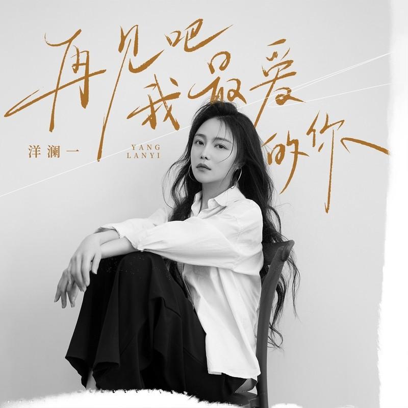 再见吧我最爱的你(DJ版)封面
