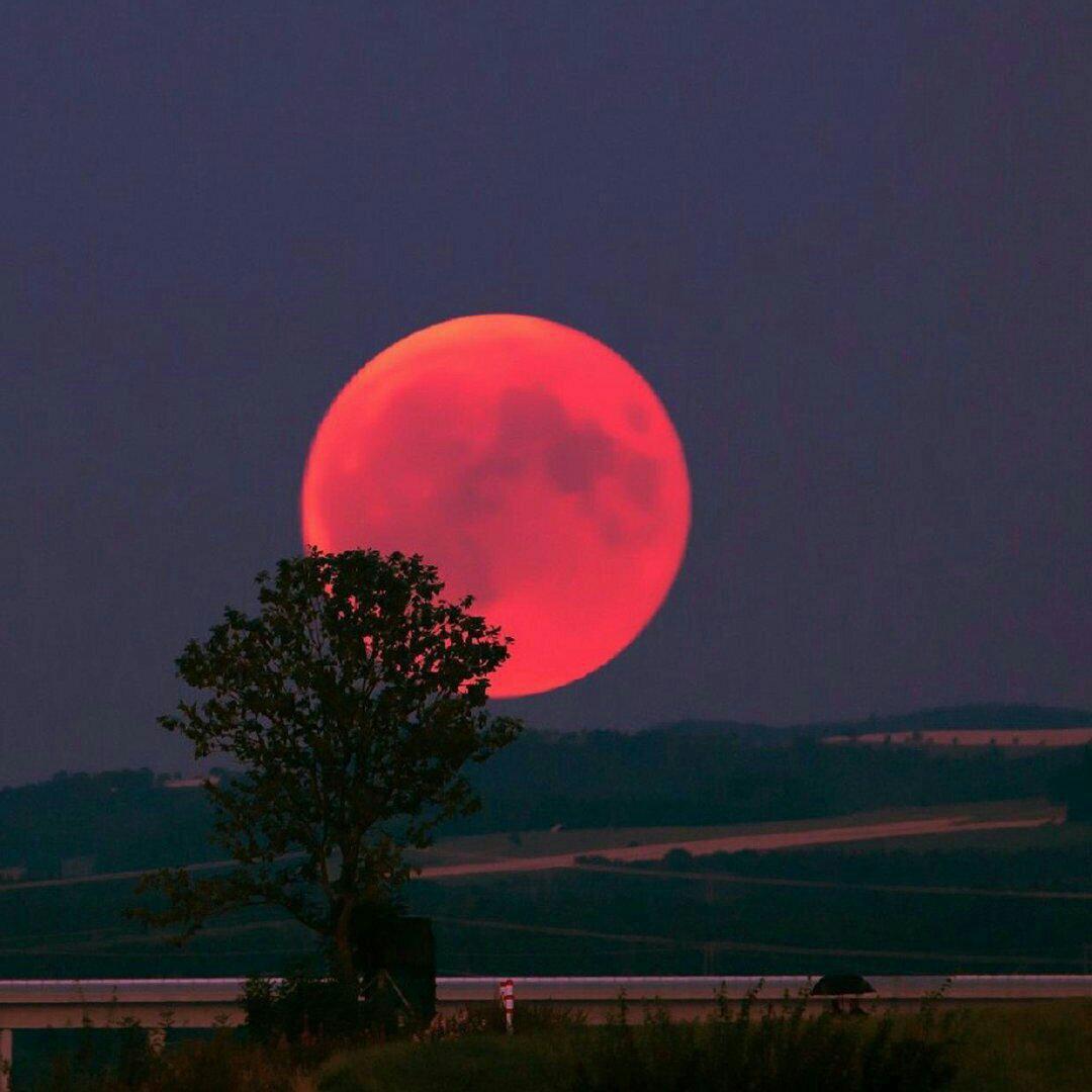 「努力+自律」｜温柔舒缓纯音乐｜至若春和