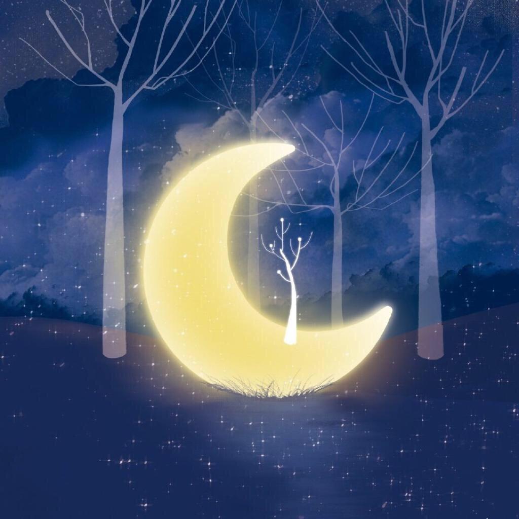 嘿，夜深了，你也睡不着吗