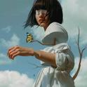 「节奏幻想」 惬意旋律下鸣奏的灵动歌唱
