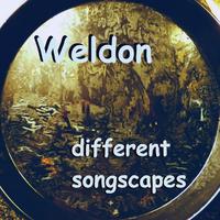 Different Songscapes