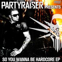 So You Wanna Be Hardcore
