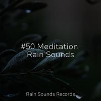 #50 Meditation Rain Sounds