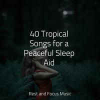 40 Tropical Songs for a Peaceful Sleep Aid