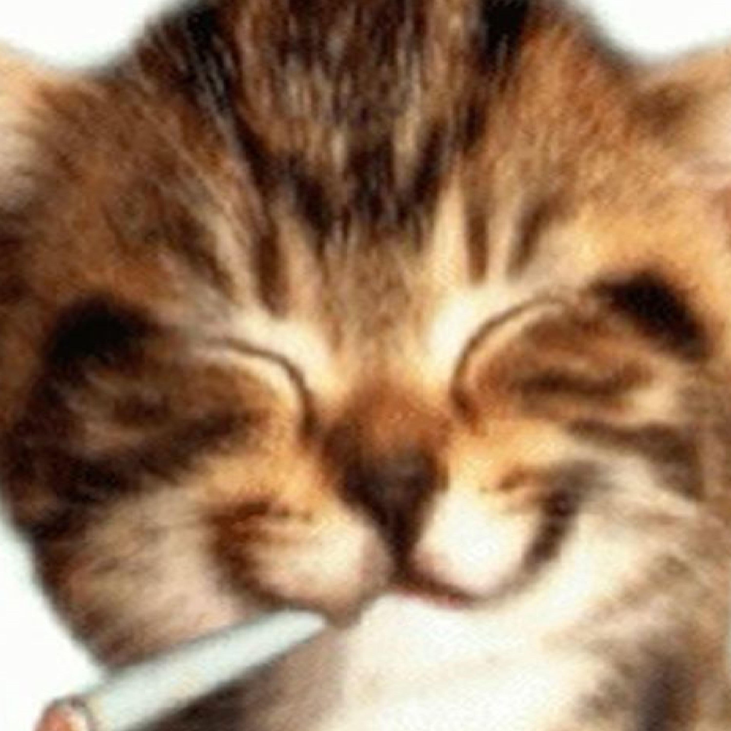 Don't talk to me out of pity