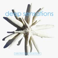 Deep Sensations Vol. 1 - Selected Deep House Tunes