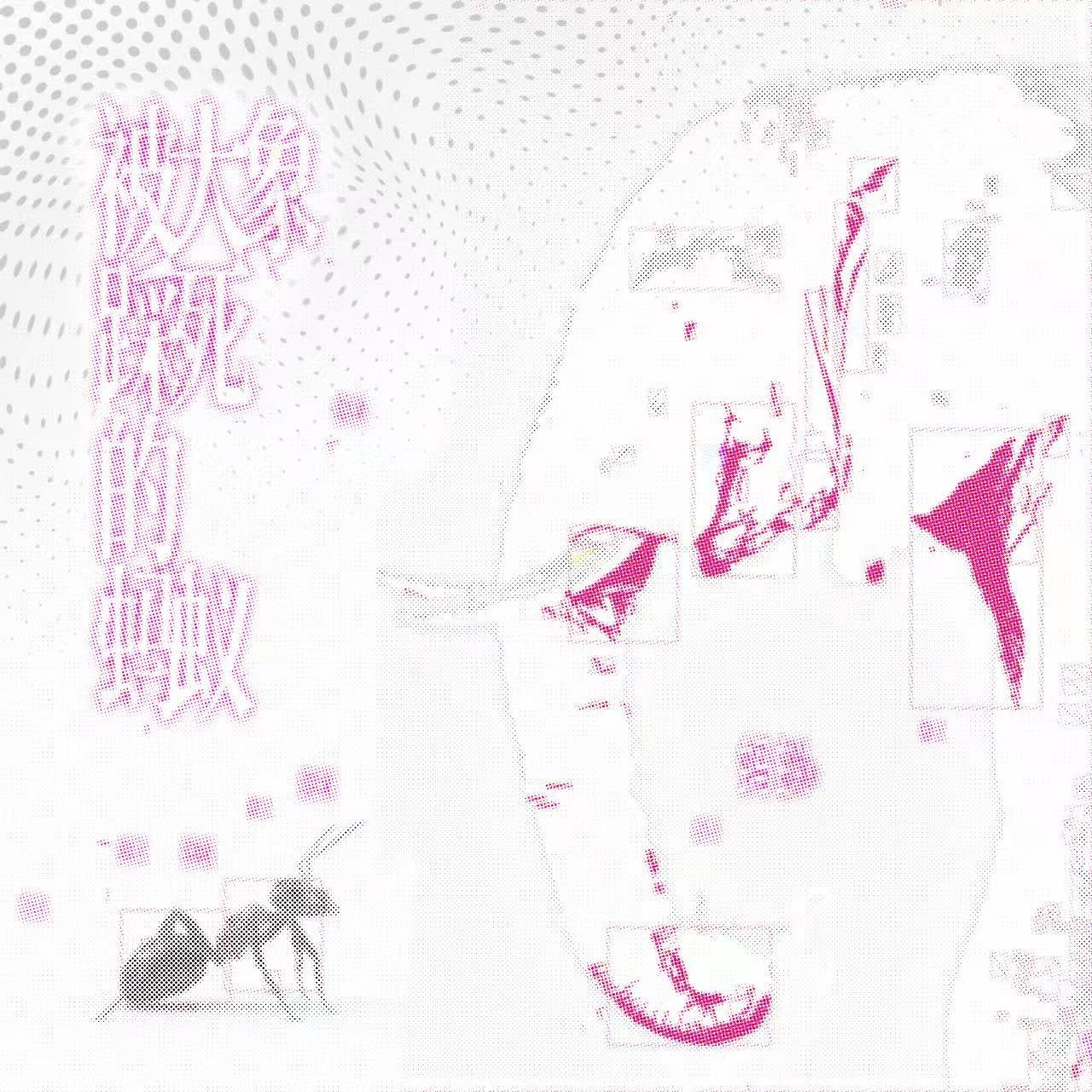 被大象踩死的蚂蚁