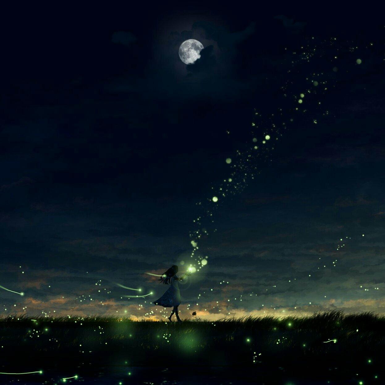 『纯音』夜，萤火虫和你