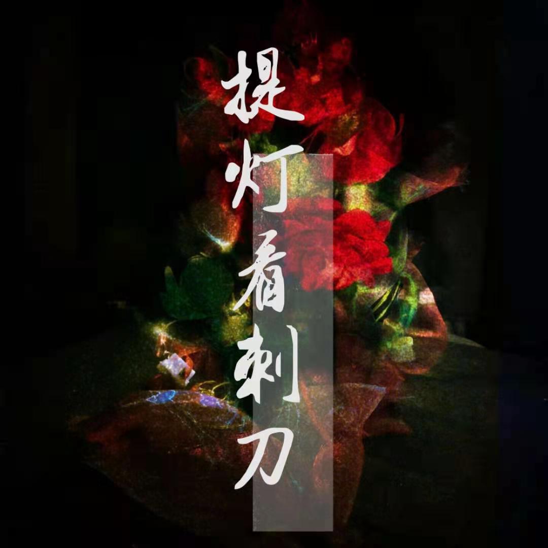 顽疾《提灯看刺刀》韩越封面