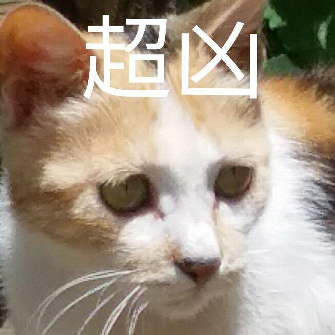 音游狗的谱面脑补天堂！音游向曲目