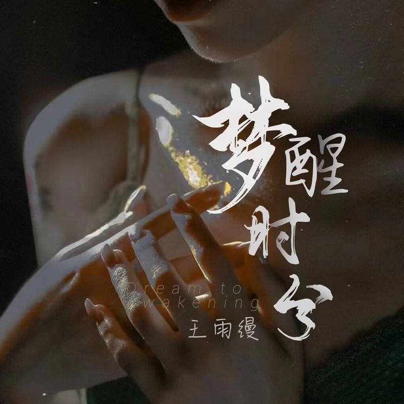 梦醒时分(DJ版)封面