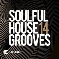 Soulful House Grooves, Vol. 14