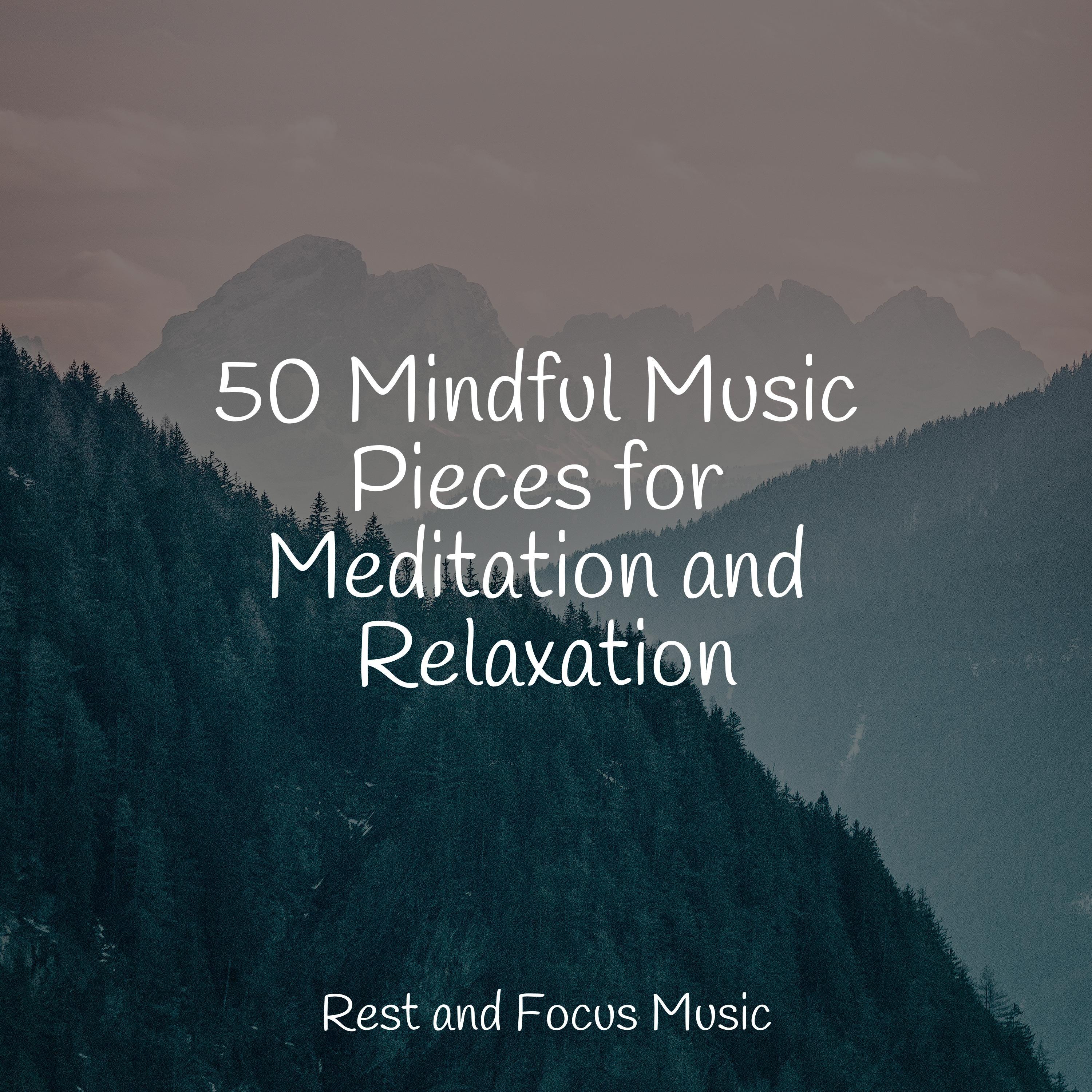 Urban Mindfulness Playlist