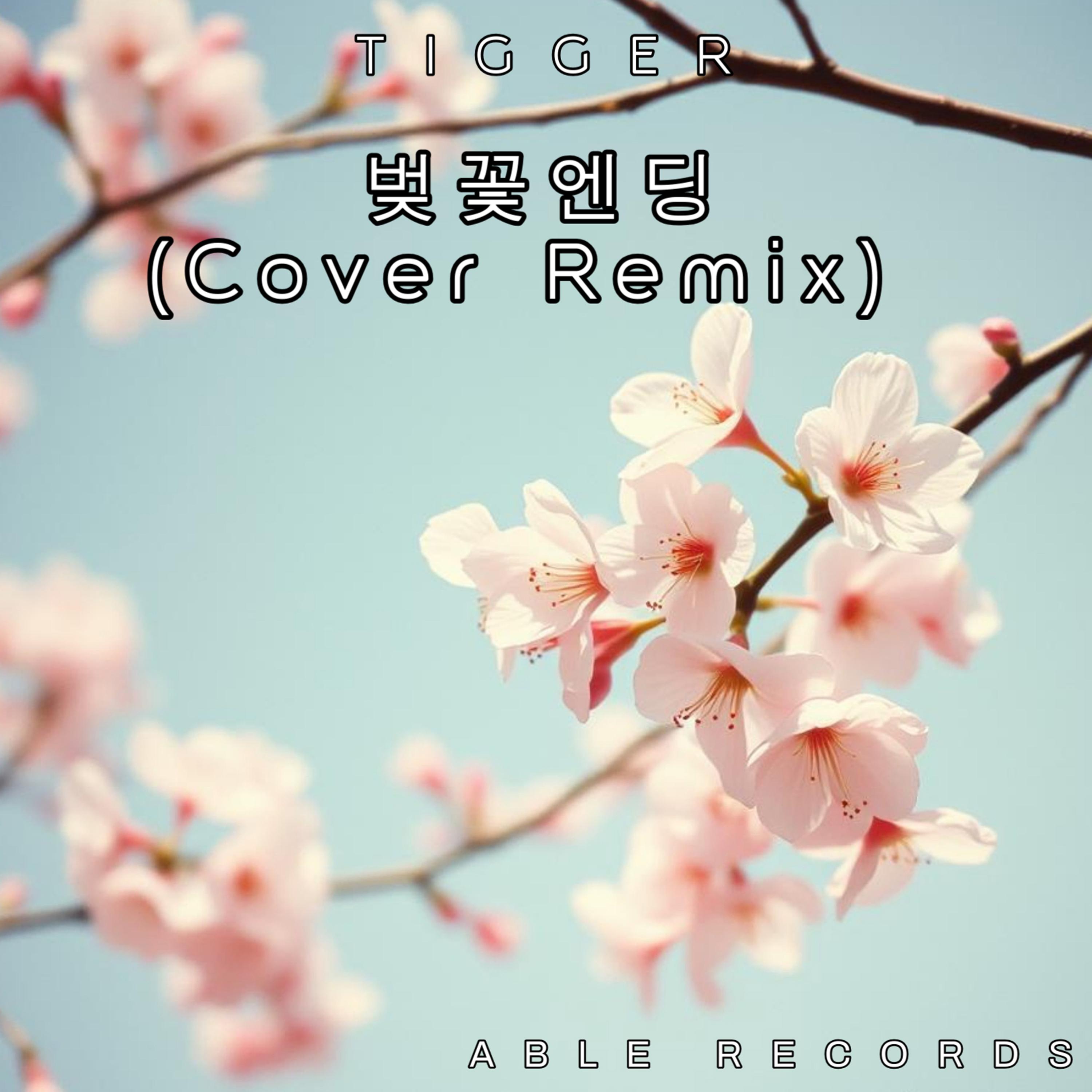 벚꽃엔딩 (Cover Remix)封面