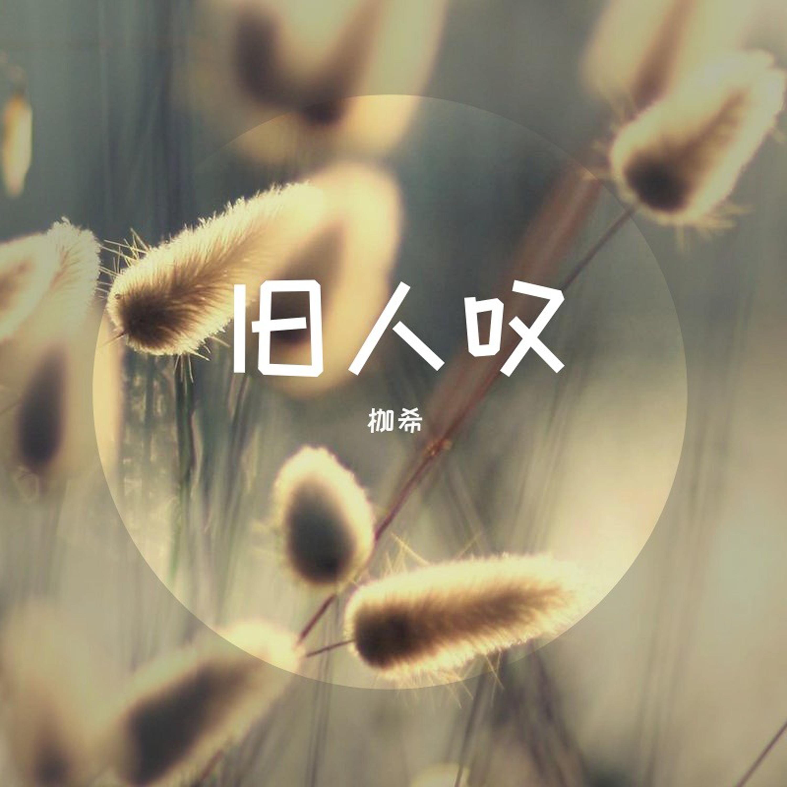 热恋冰淇淋 (Remix)封面