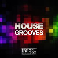 House Grooves