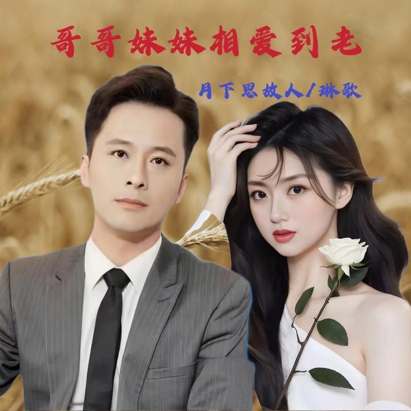 哥哥妹妹相爱到老 (对唱版) - 月下思故人、琳歌封面